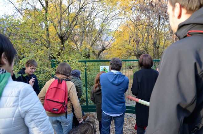 Can Altay: Limited Experience, Photo: Lungomare, 2015 