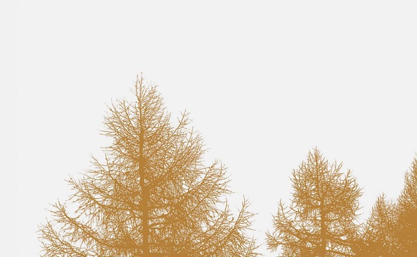 Sub, Egokiller II & III, Bricolage. Cover design: Lupo & Burtscher