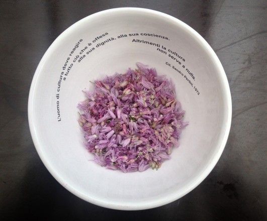 Marzia Migliora: Con la cultura non si mangia. Photo: Daniel Mazza, 2013